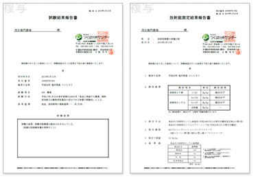 つくば分析センターによる報告書