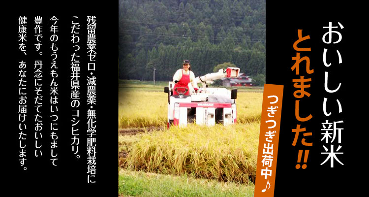 こしひかりのお米