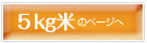 �Tkg�Ẵy�[�W��
