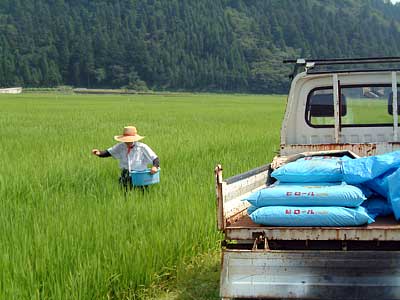 毎日頑張って働いています！