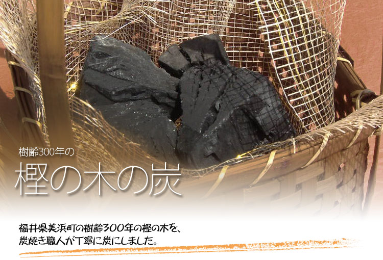 樹齢300年の樫の木